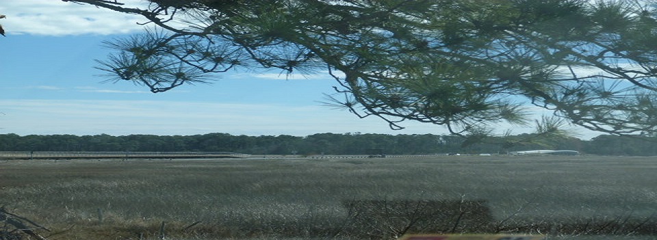 Assateague Island