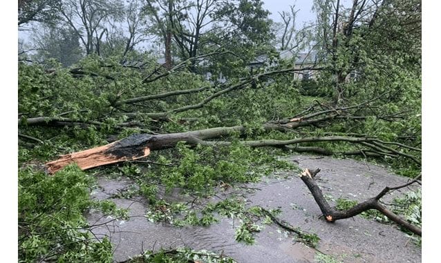 storm debris